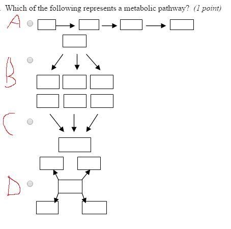 (50 points ) Which of the following represents a metabolic pathway?-example-1