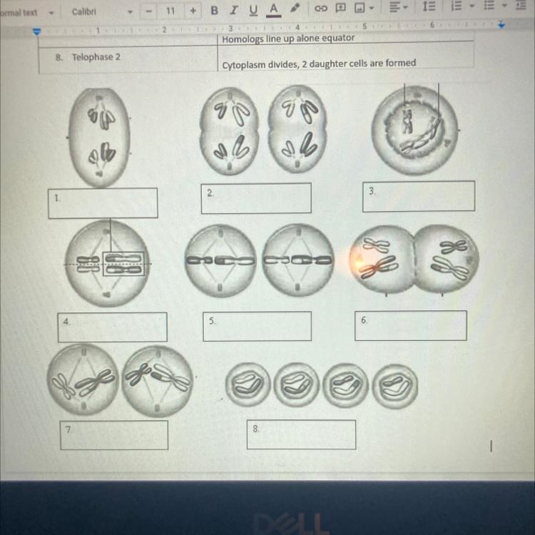 HELP PLEASE I ONLY HAVE 20 MINS WHATS HAPPENING TO THE CELLS??-example-1