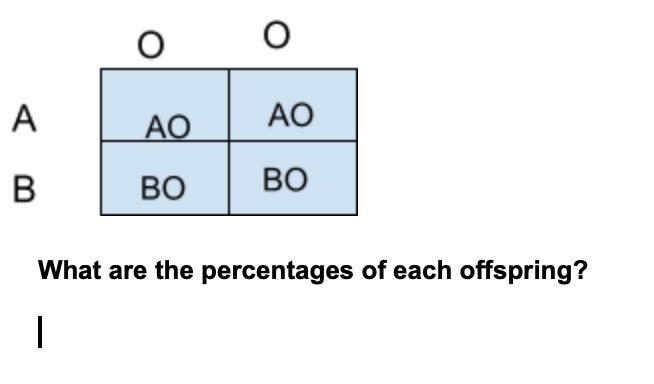 What is the percentage of the offspring?!-example-1