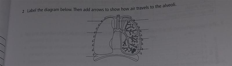 Biology it’s due today pls help-example-1