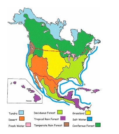 It is environmental science-example-2