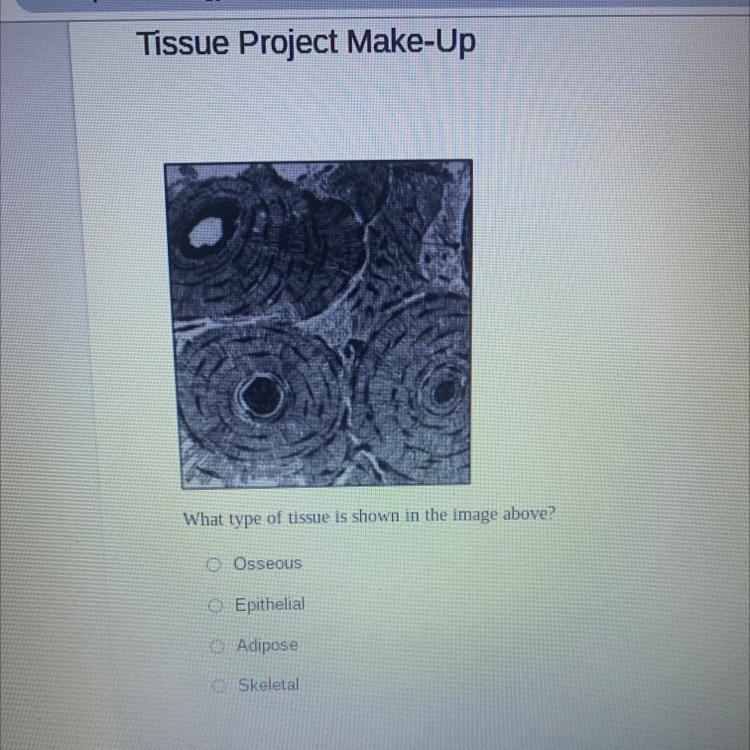 What type of tissue is shown in the image above?-example-1