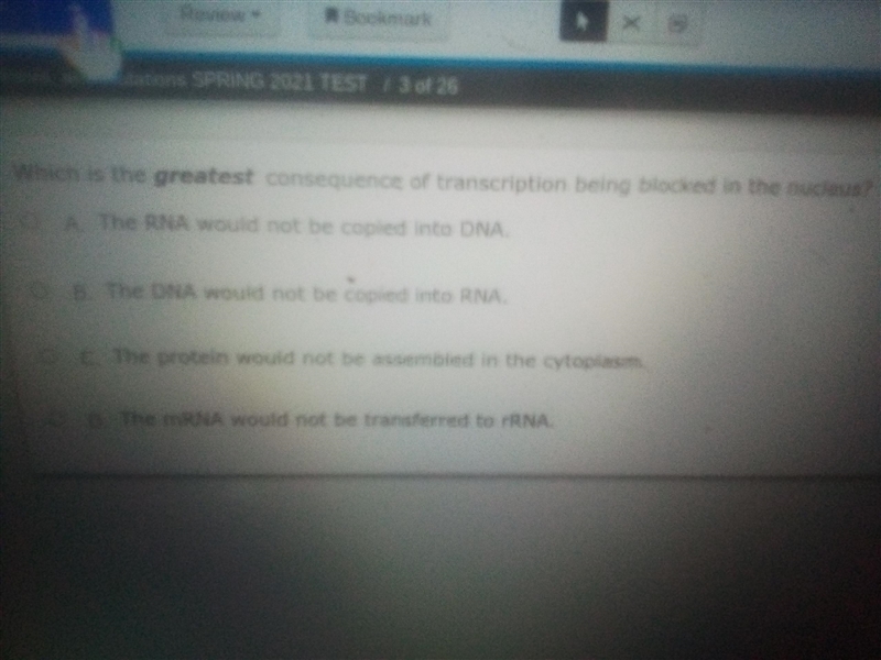 Which is the greatest consequence of transcription being blocked in the nucleus-example-1