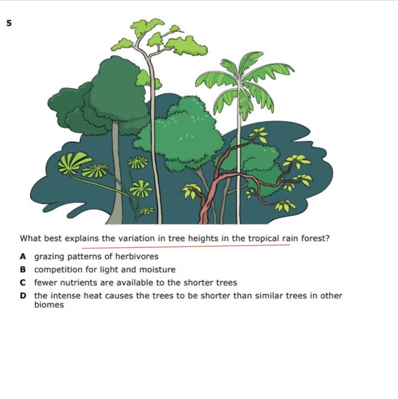 What best explains the variation in tree heights in the topical rain forest-example-1