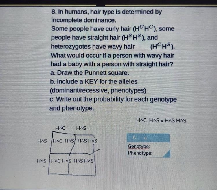 Giving brainless for answer please help-example-1