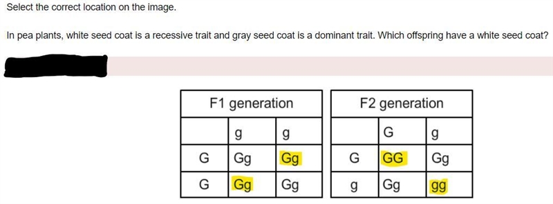 (50 Points) Select the correct location on the image. In pea plants, white seed coat-example-1