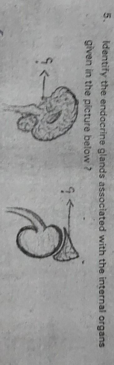 Please help me i need a long answer on this its biology ​-example-1