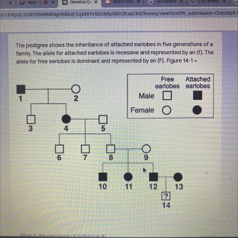 What is the genotype of individual #1-example-1