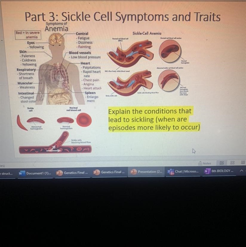 The highlighted part please-example-1