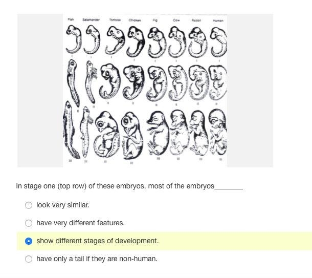 Hi. Is this correct?????-example-1