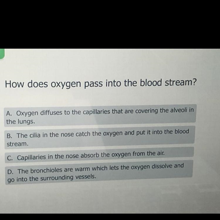 How does oxygen pass into the bloodstream-example-1