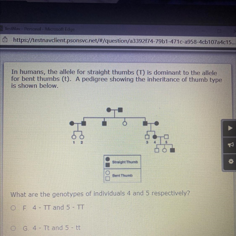 What are the genotypes of individuals 4 and 5 respectively? E 4- IT and 5 - TT G. 4 - Tt-example-1