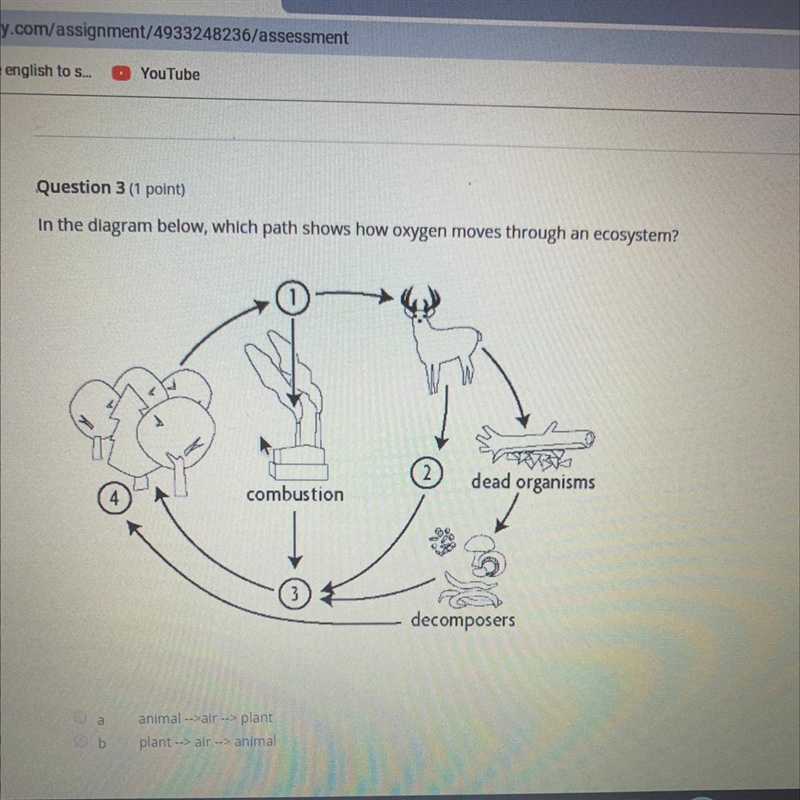 How oxygen moves through an ecosystem-example-1