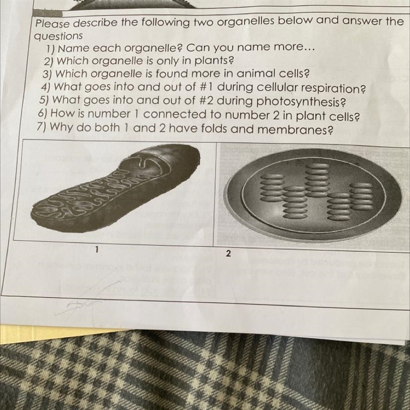 Please help me with this *picture included-example-1