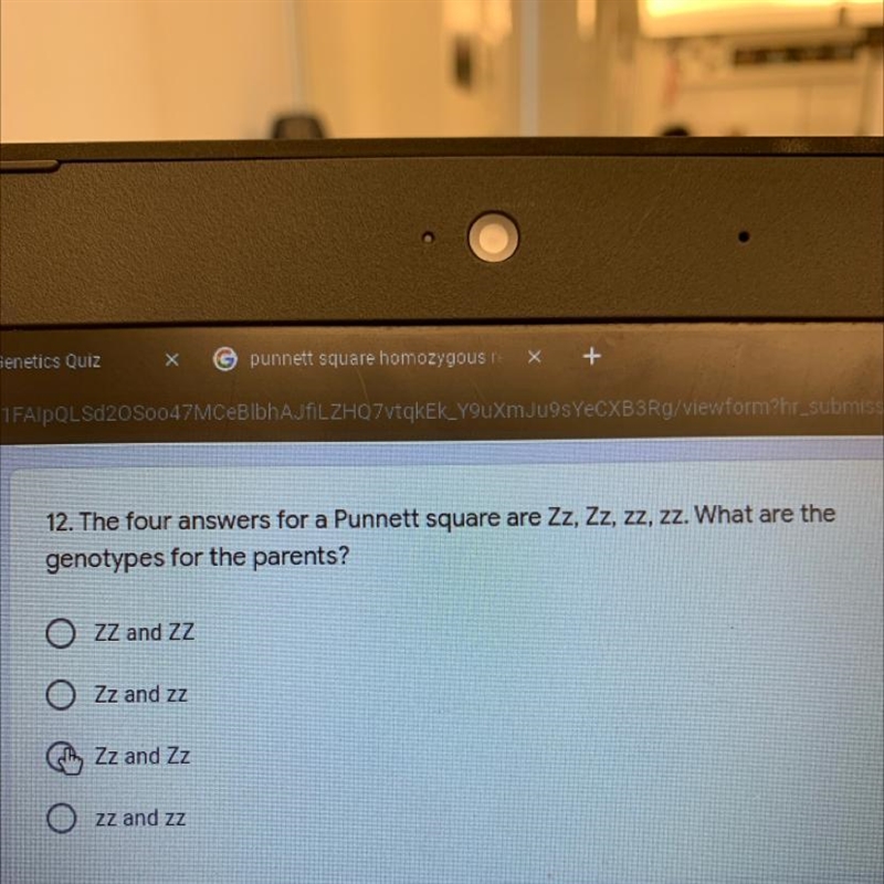 The four answers for a punnets square Zz, Zz, zz, zz what the the genotypes for the-example-1