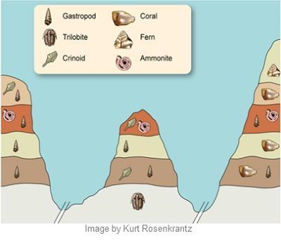 Which conclusion is best supported by the diagram? Trilobites and gastropods are the-example-1