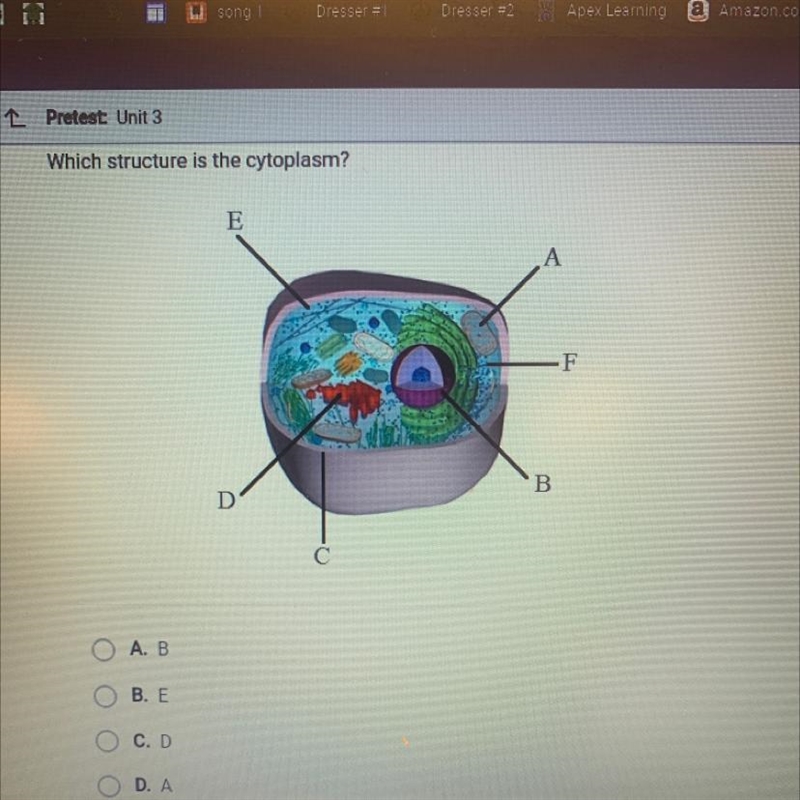 Which structure is the cytoplasm? A. B B. E C. D D. A-example-1