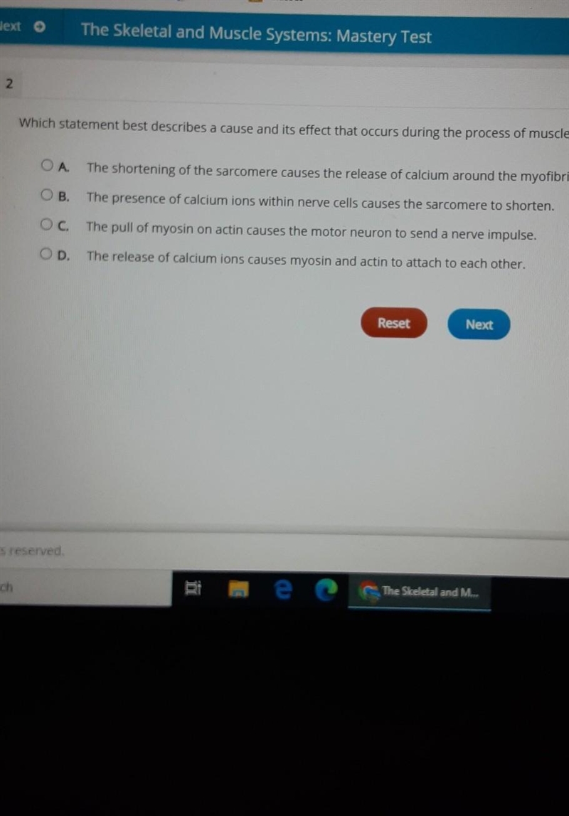 Which statement best describes a cause and its effect during the process or muscle-example-1