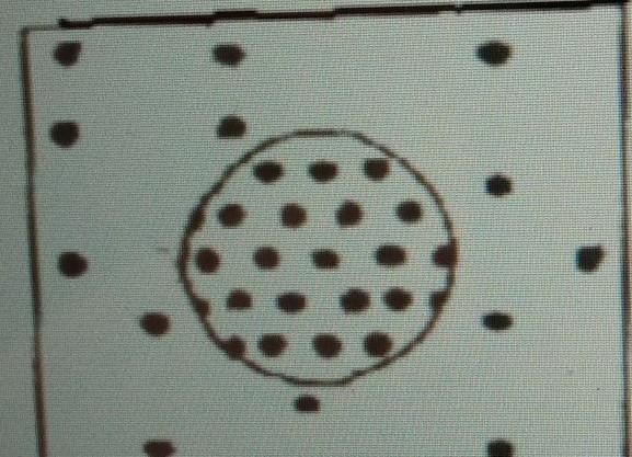 The black dotsThe black dots represents the solute. Identify the type of solution-example-1