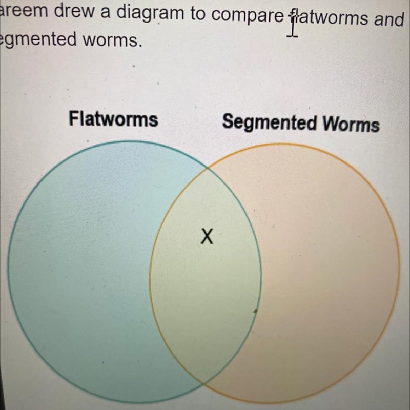 Kareem drew a diagram to compare flatworms and segmented worms which label belongs-example-1