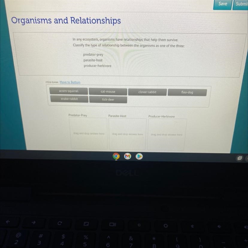 Organisms and Relationships In any ecosystem organisms have relationships that help-example-1