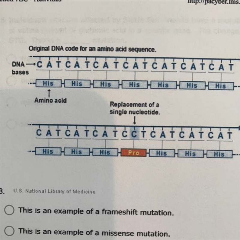 See picture: A.This is an example of a frameshift mutation. B.This is an example of-example-1