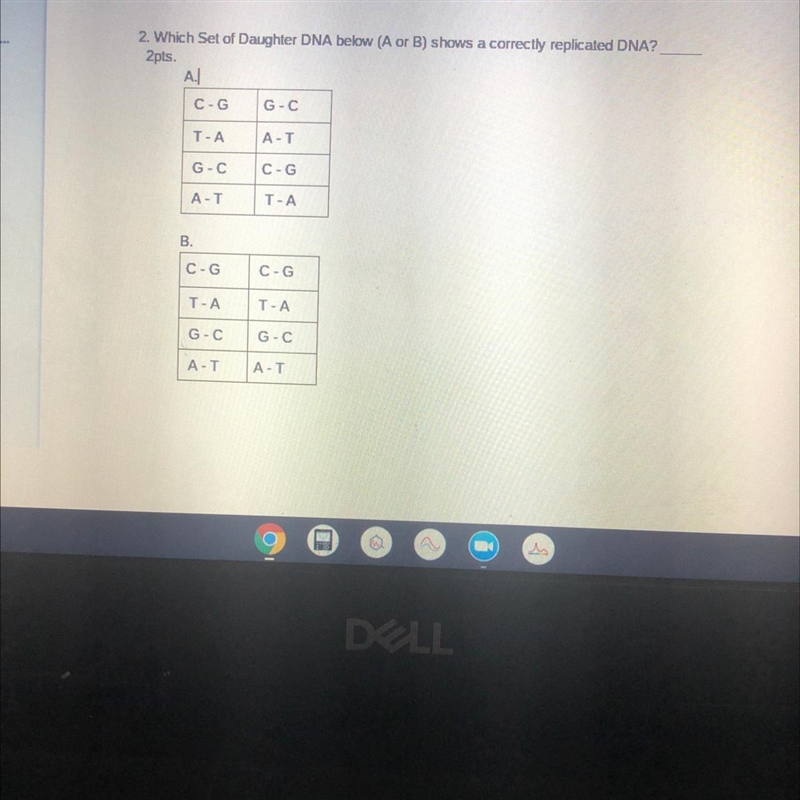 Plz and thanks help me-example-1