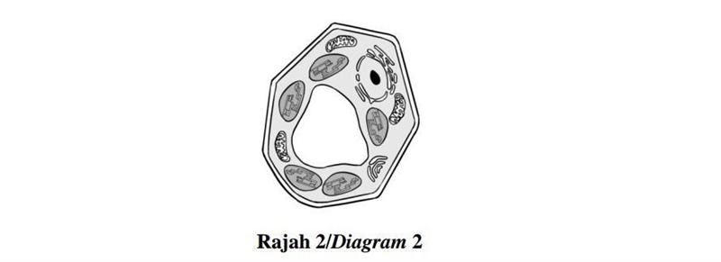 Diagram 2 shows the structure of a cell. Tick (✔️) for a correct statement and (❌) for-example-1