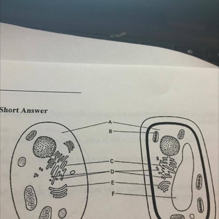 What is this diagram?-example-1