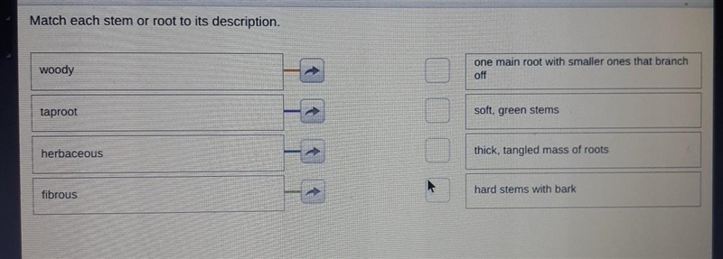 Match each stem or root to its description. Plz help meeee WILL MARK BRANLYIEST ​-example-1