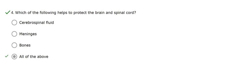 Which of the following helps to protect the brain and spinal cord?-example-1