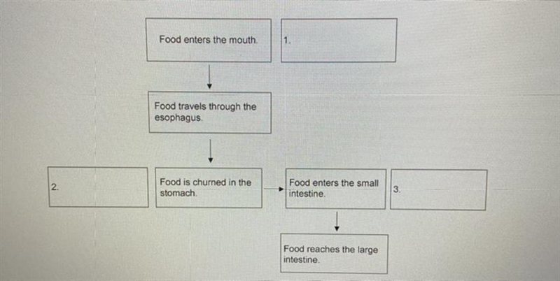 Drag each label to the correct location on the image. Match each digestive juice or-example-1