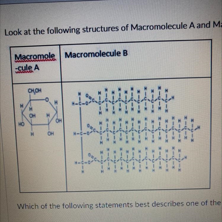 What macromolecules are a and b? answer choices: 1) lipid 2) carbohydrate 3) protein-example-1