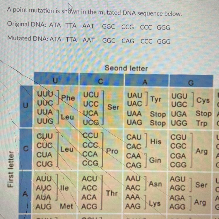 Will this mutation affect the protein resulting from this gene sequence? No, because-example-1