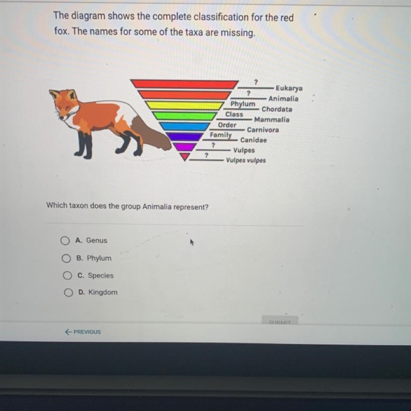 HELP PLEASE IM BEGGING The diagram shows the complete classification for the red fox-example-1