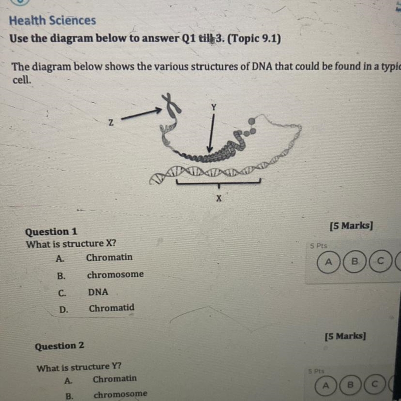 What is structure X? A. Chromatin B. chromosome с. DNA D. Chromatid-example-1