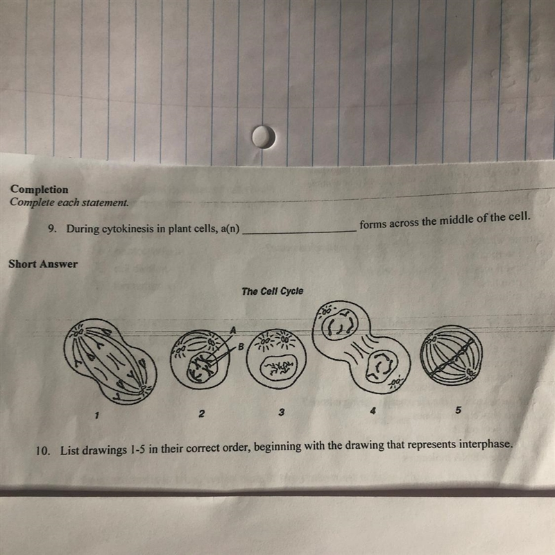 Needing help on 9 and 10 please-example-1