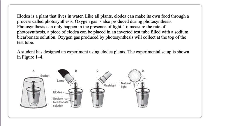 Someone help me please-example-1