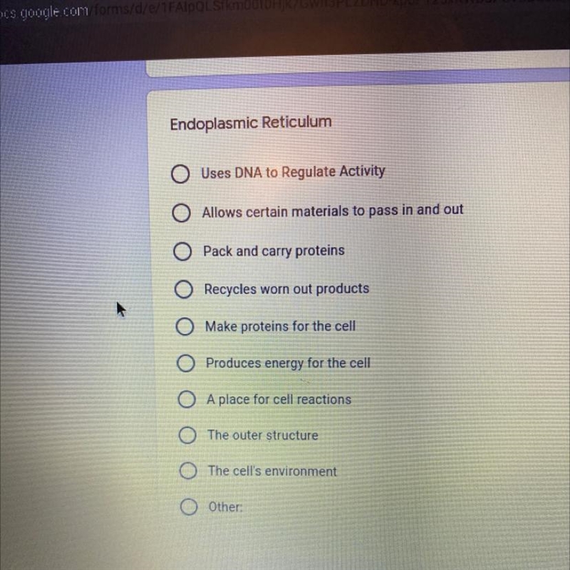 What is the function of Endoplasmic Reticulum pick the correct option-example-1