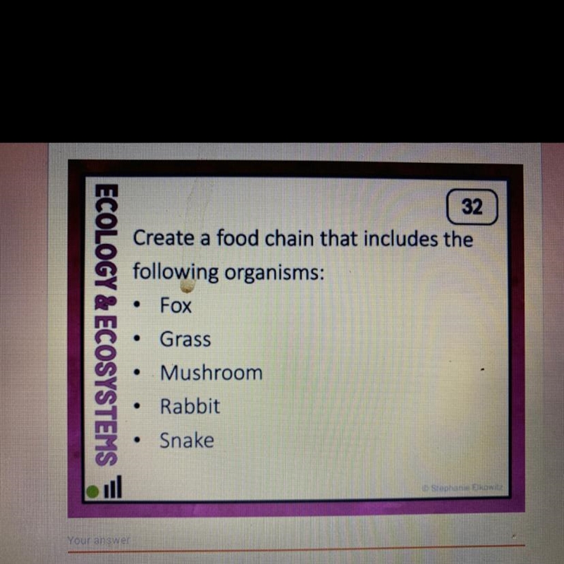 Create a food chain directions the following organisms-example-1