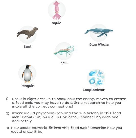 help me please DIRECTIONS: Illustrate the flow of energy within the aquatic system-example-1