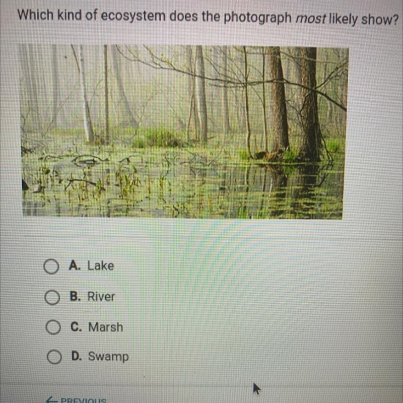 Which kind of ecosystem does the photograph most likely show?-example-1