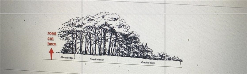 Transportation infrastructure has a negative impact on the ecosystem in a variety-example-1