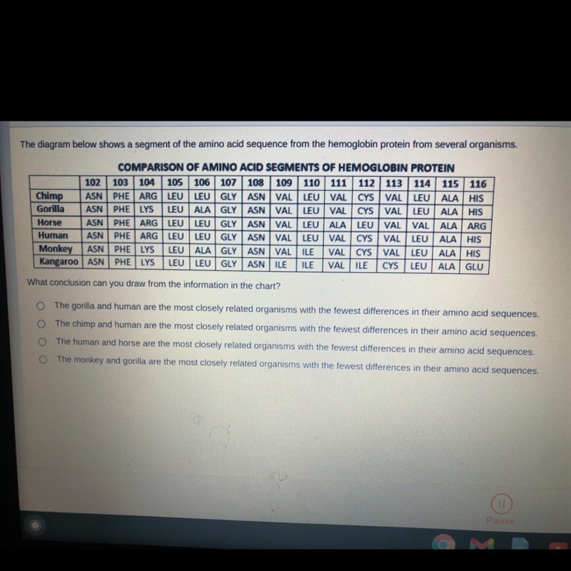 PLZ HELP The diagram below shows a segment of the amino acid sequence from the hemoglobin-example-1