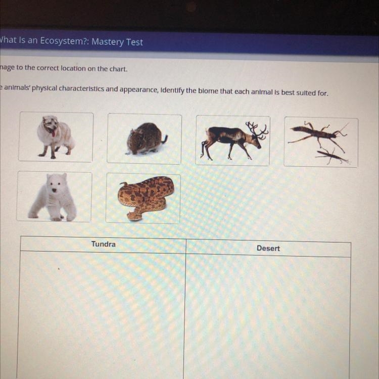 Please help me! Drag each image to the correct location on the chart. Tundra or desert-example-1