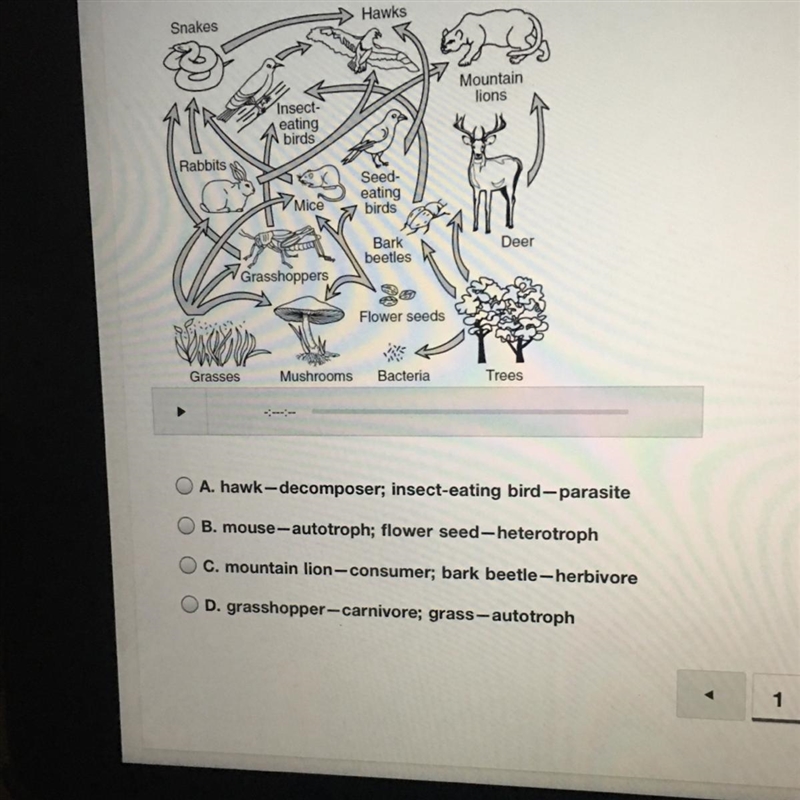 The diagram below represents a food web. Which organisms are correctly paired with-example-1