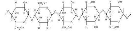 Which type of carbohydrate is this? A) Monosaccharide B) Simple sugar C) Complex carbohydrate-example-1