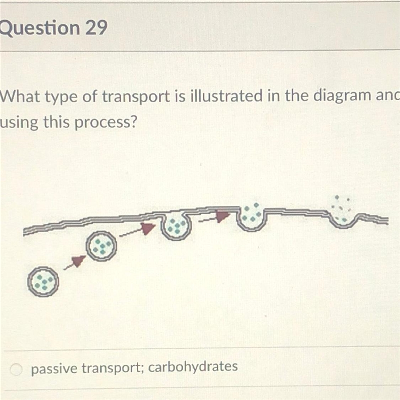 What type of transport is illustrated in the diagram and what type of molecule would-example-1