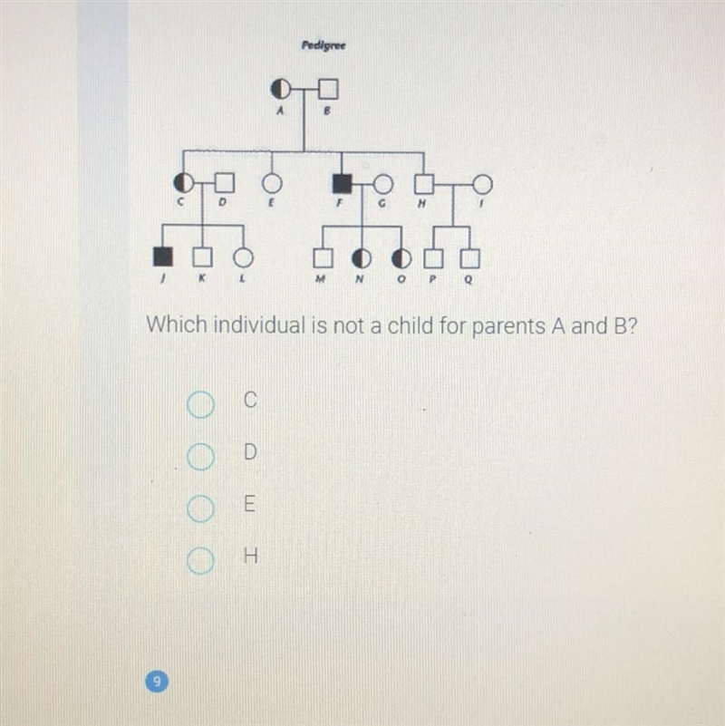 Anyone plzzzzzz help-example-1