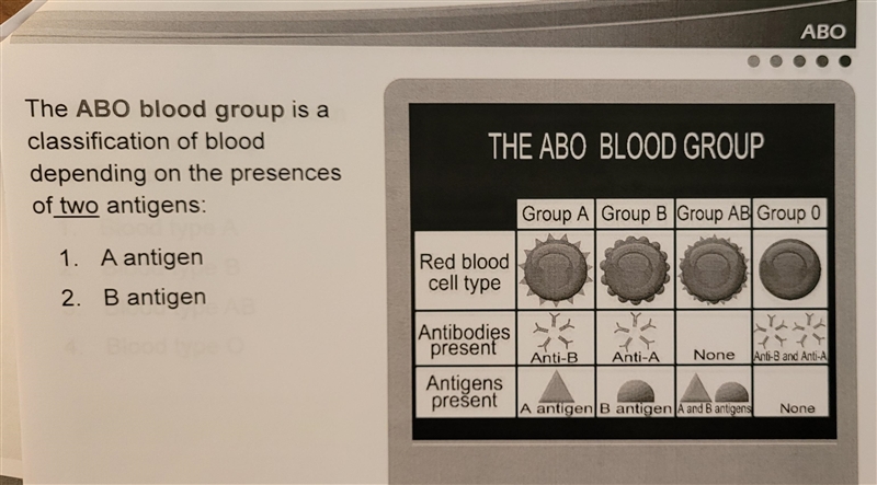 The ABO blood group is a classification of blood depending on the presence of how-example-1